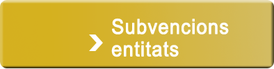 Subvencions entitats