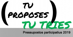 pressupostos participatius 2019