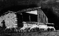 expo dona rural