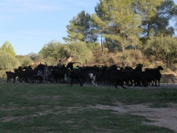 Santa Margarida i els Monjos