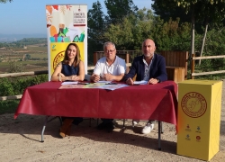 Ajuntament de Santa Margarida i els Monjos
