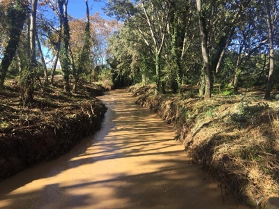 Santa Margarida i els Monjos