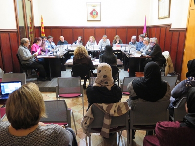 Ple març 2017