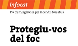 Infocat